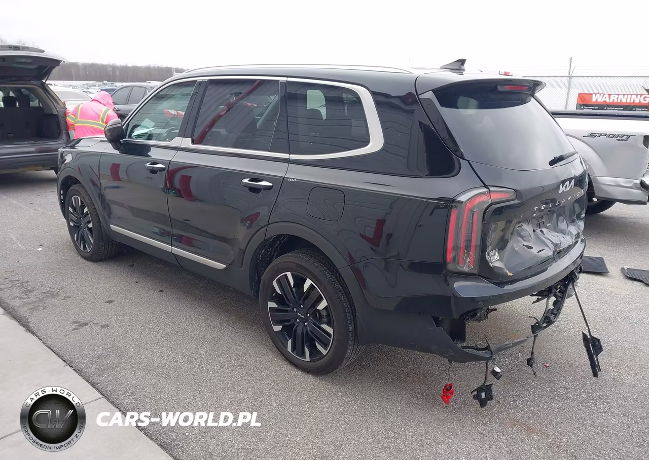 2024 Kia Telluride Sx Prestige VIN:5XYP5DGC0RG417228 - 3