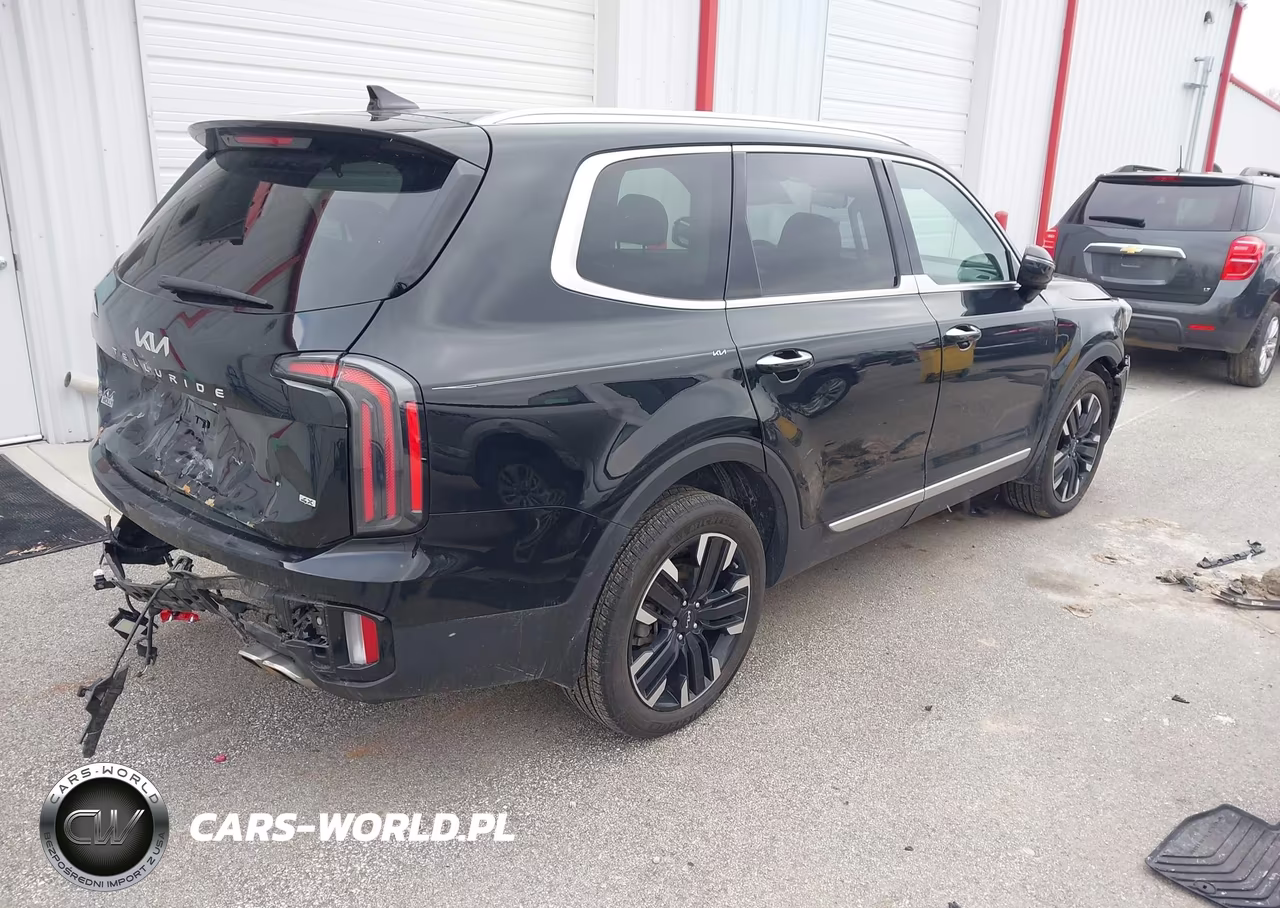 2024 Kia Telluride Sx Prestige VIN:5XYP5DGC0RG417228 - 4