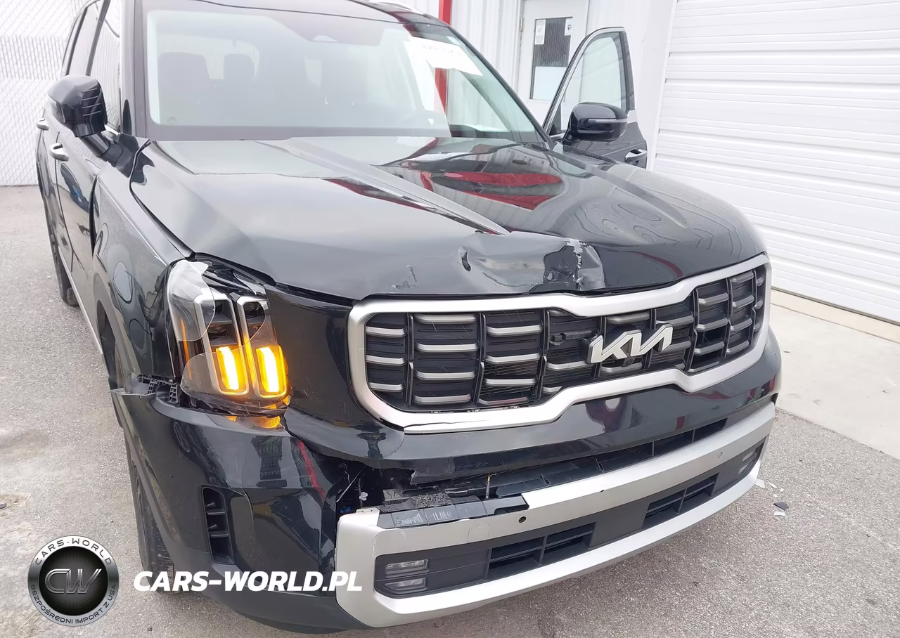 2024 Kia Telluride Sx Prestige VIN:5XYP5DGC0RG417228 - 6