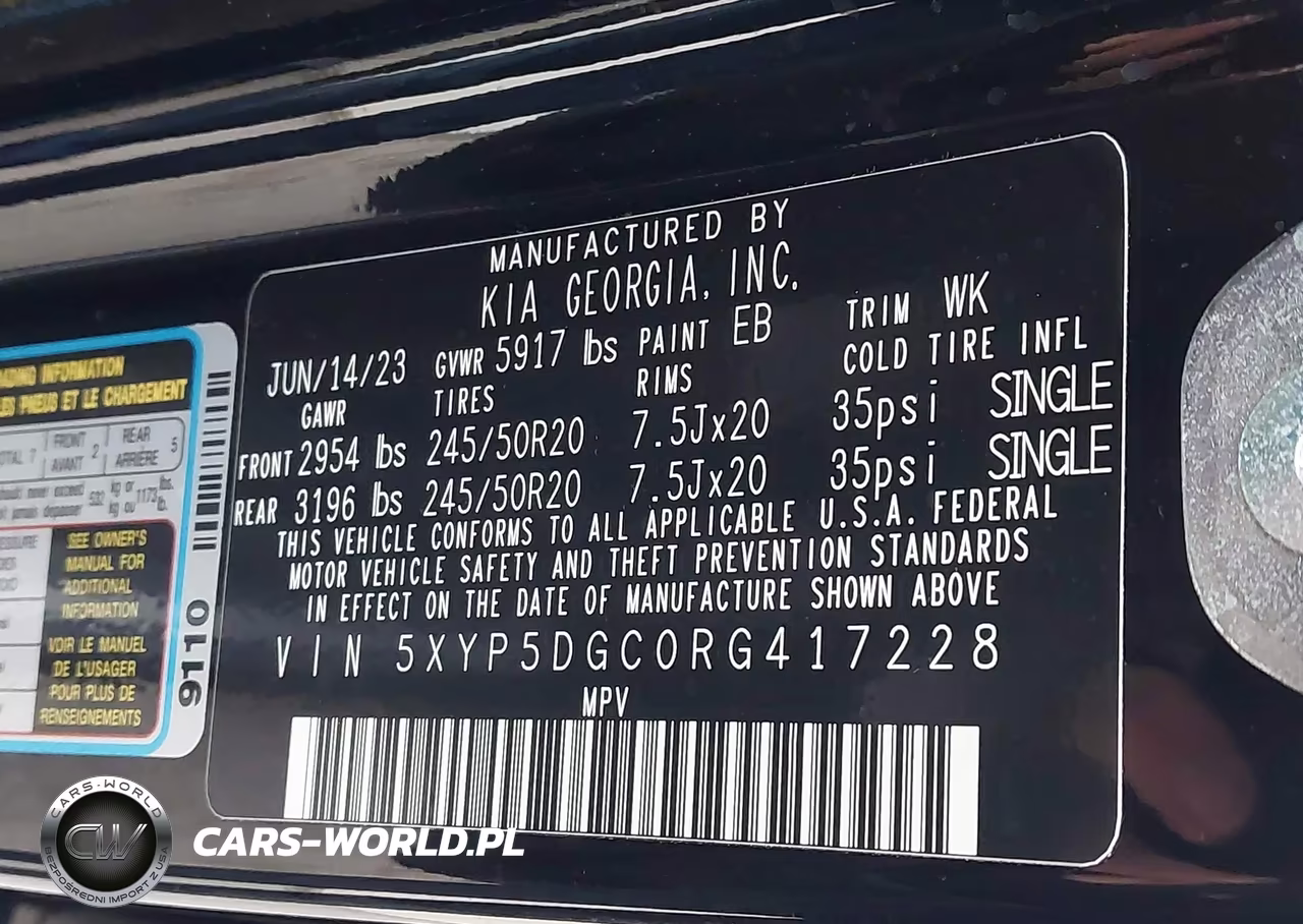 2024 Kia Telluride Sx Prestige VIN:5XYP5DGC0RG417228 - 9