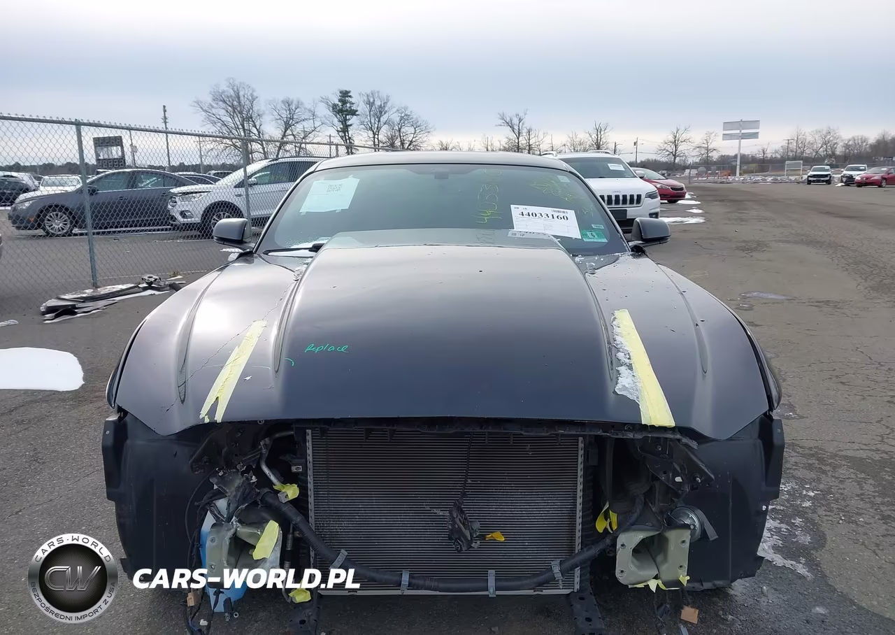 2017 Ford Mustang Gt Premium VIN:1FA6P8CF9H5338635 - 12