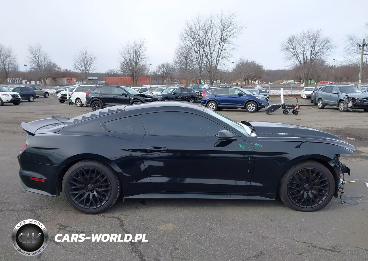2017 Ford Mustang Gt Premium VIN:1FA6P8CF9H5338635 - 13