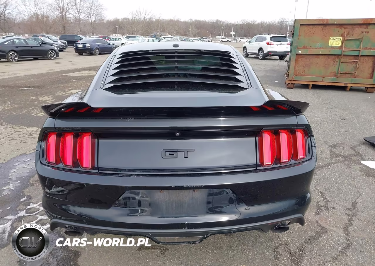 2017 Ford Mustang Gt Premium VIN:1FA6P8CF9H5338635 - 16