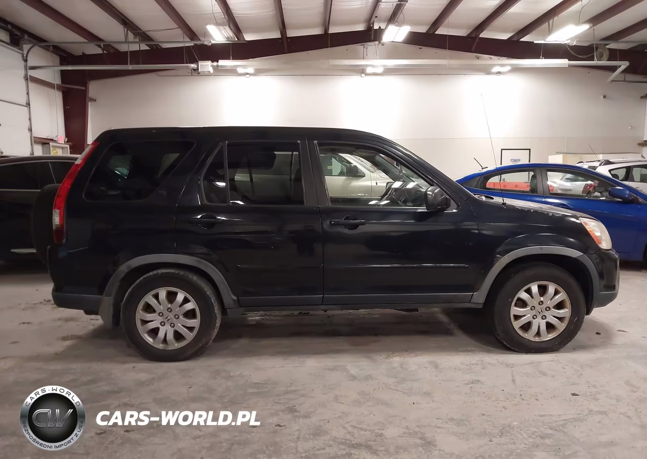 2006 Honda Cr-V Se VIN:JHLRD78936C034001 - 13