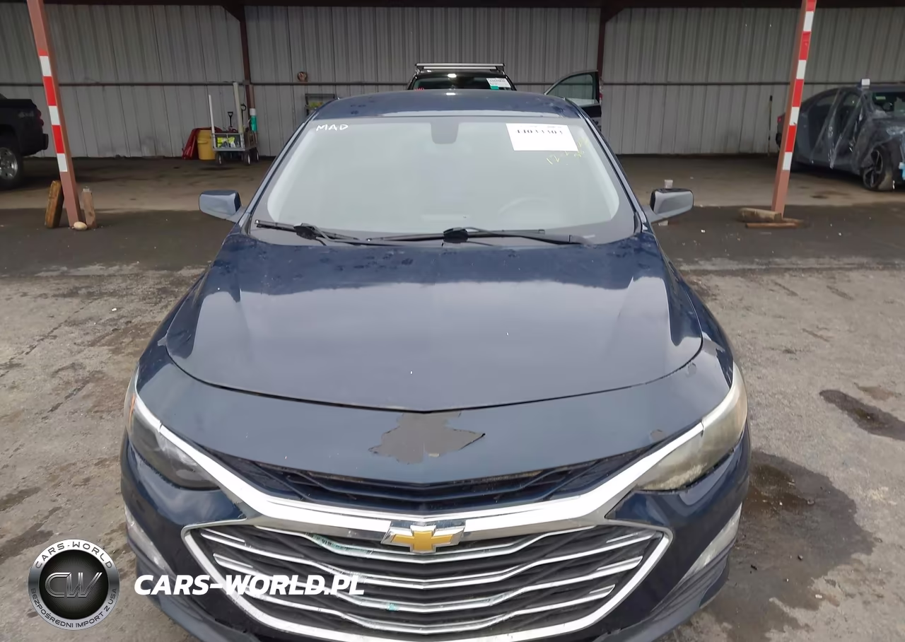 2019 Chevrolet Malibu Lt VIN:1G1ZD5ST5KF138741 - 12