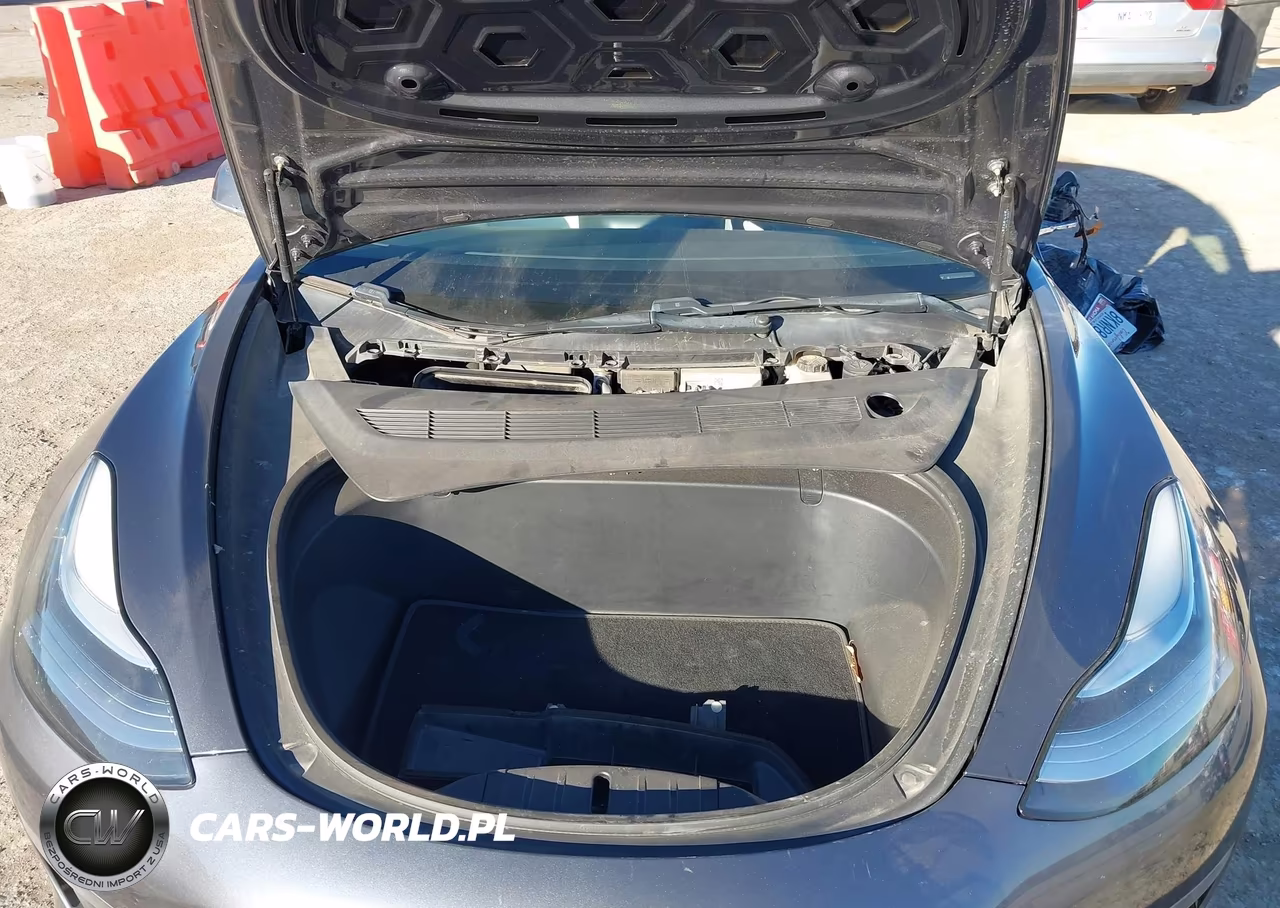 2019 Tesla Model 3 Long Range-Mid Range-Standard Range-Standard Range Plus VIN:5YJ3E1EA8KF345450 - 10