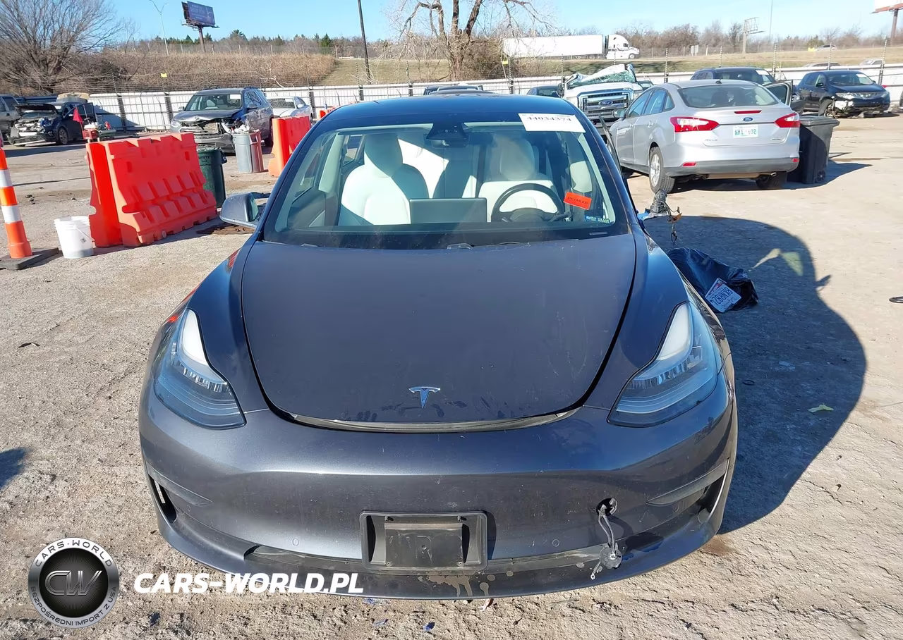 2019 Tesla Model 3 Long Range-Mid Range-Standard Range-Standard Range Plus VIN:5YJ3E1EA8KF345450 - 12