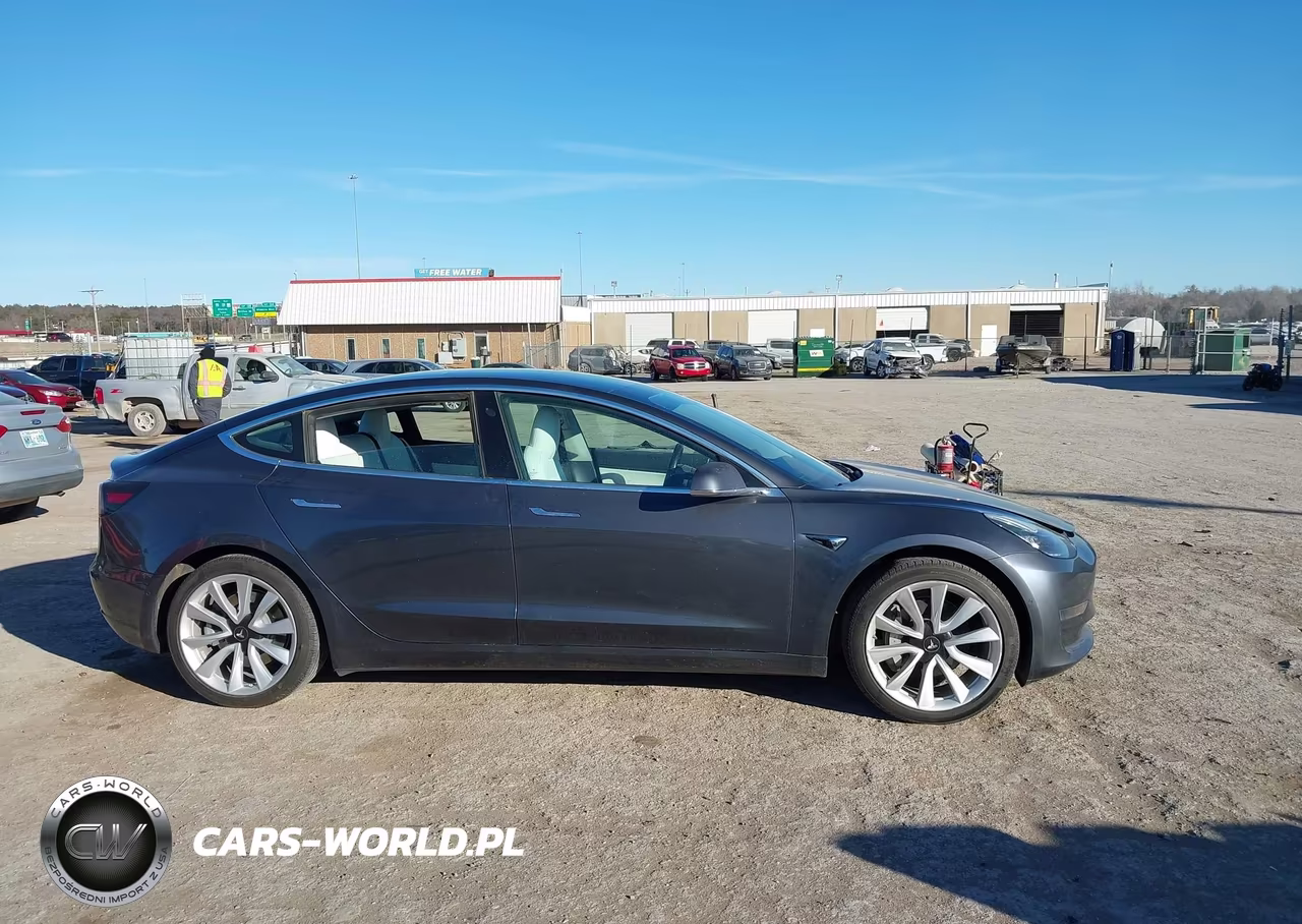 2019 Tesla Model 3 Long Range-Mid Range-Standard Range-Standard Range Plus VIN:5YJ3E1EA8KF345450 - 13