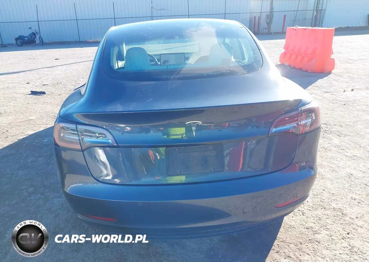 2019 Tesla Model 3 Long Range-Mid Range-Standard Range-Standard Range Plus VIN:5YJ3E1EA8KF345450 - 16