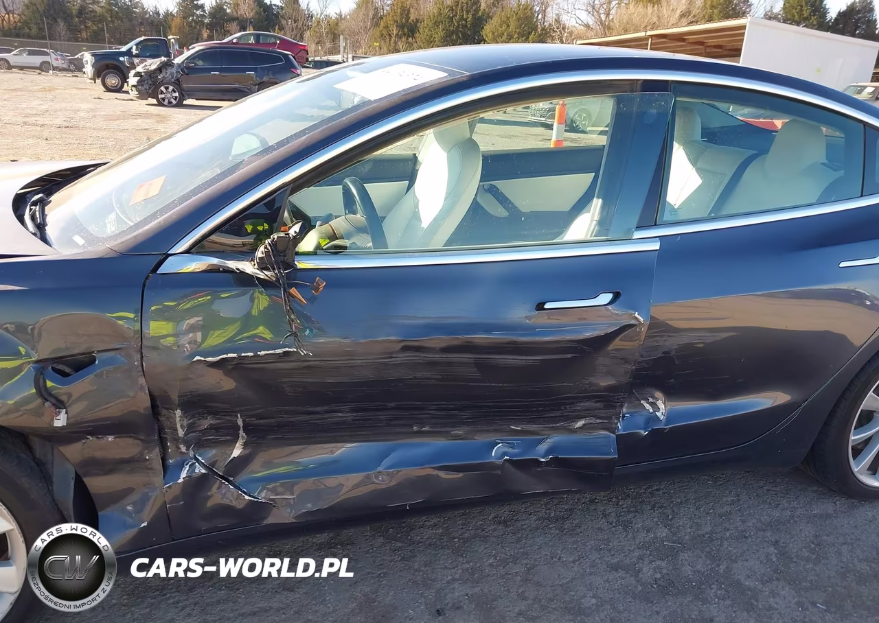 2019 Tesla Model 3 Long Range-Mid Range-Standard Range-Standard Range Plus VIN:5YJ3E1EA8KF345450 - 19