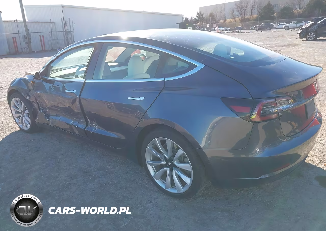 2019 Tesla Model 3 Long Range-Mid Range-Standard Range-Standard Range Plus VIN:5YJ3E1EA8KF345450 - 3