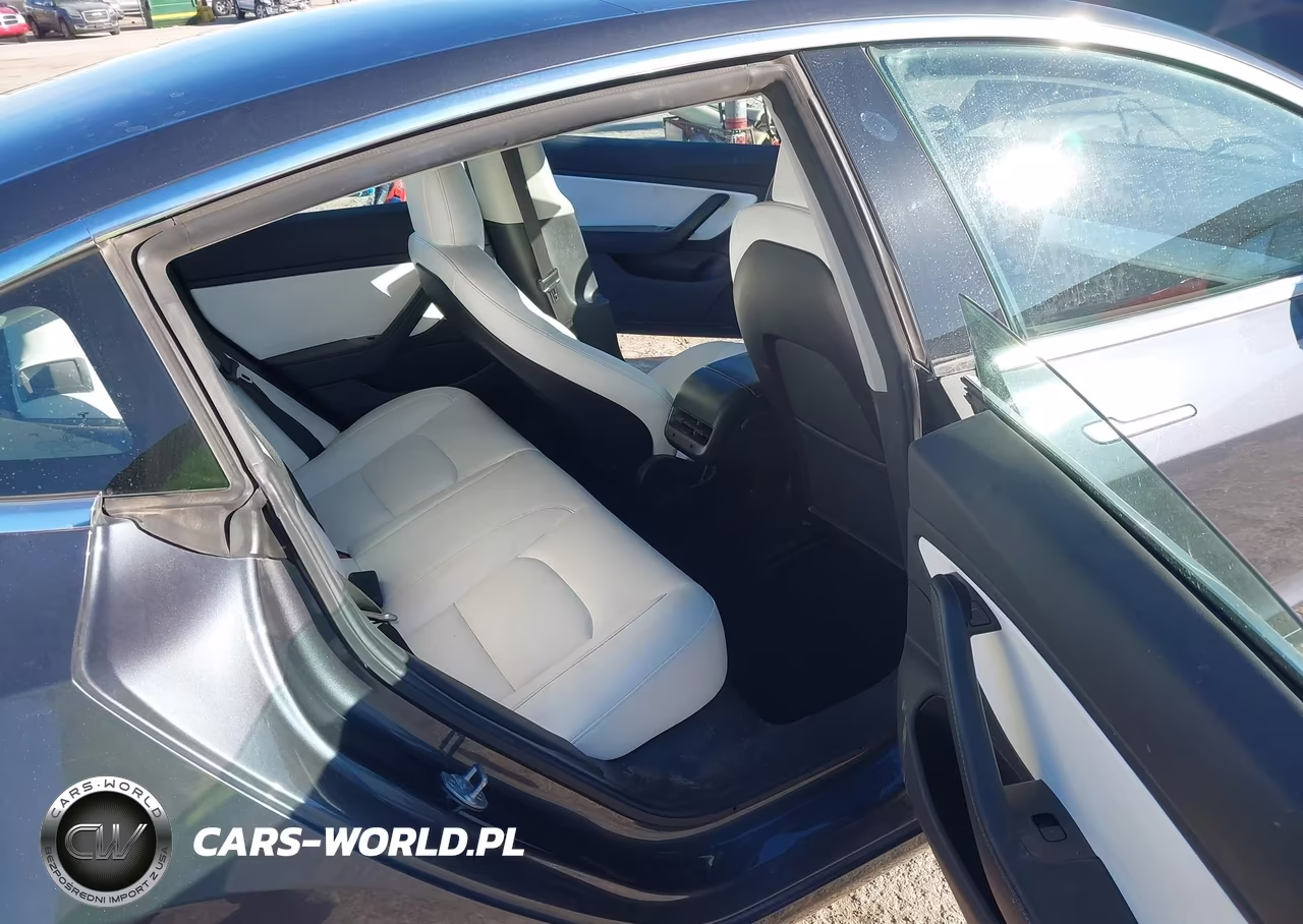 2019 Tesla Model 3 Long Range-Mid Range-Standard Range-Standard Range Plus VIN:5YJ3E1EA8KF345450 - 8