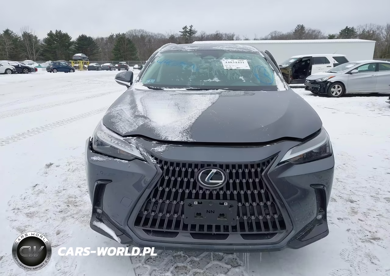 2023 Lexus Nx 350 Premium VIN:2T2GGCEZ3PC028776 - 12