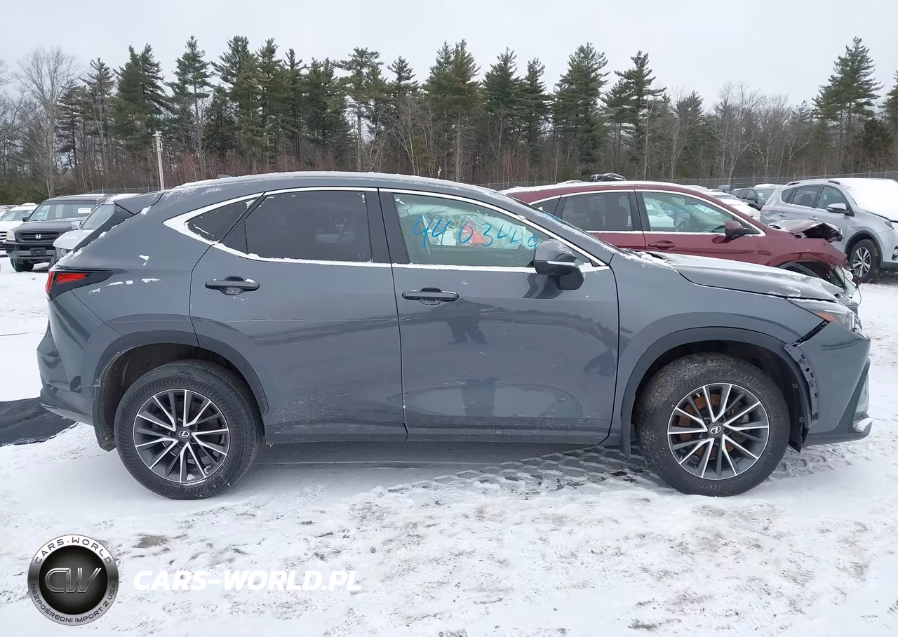 2023 Lexus Nx 350 Premium VIN:2T2GGCEZ3PC028776 - 13