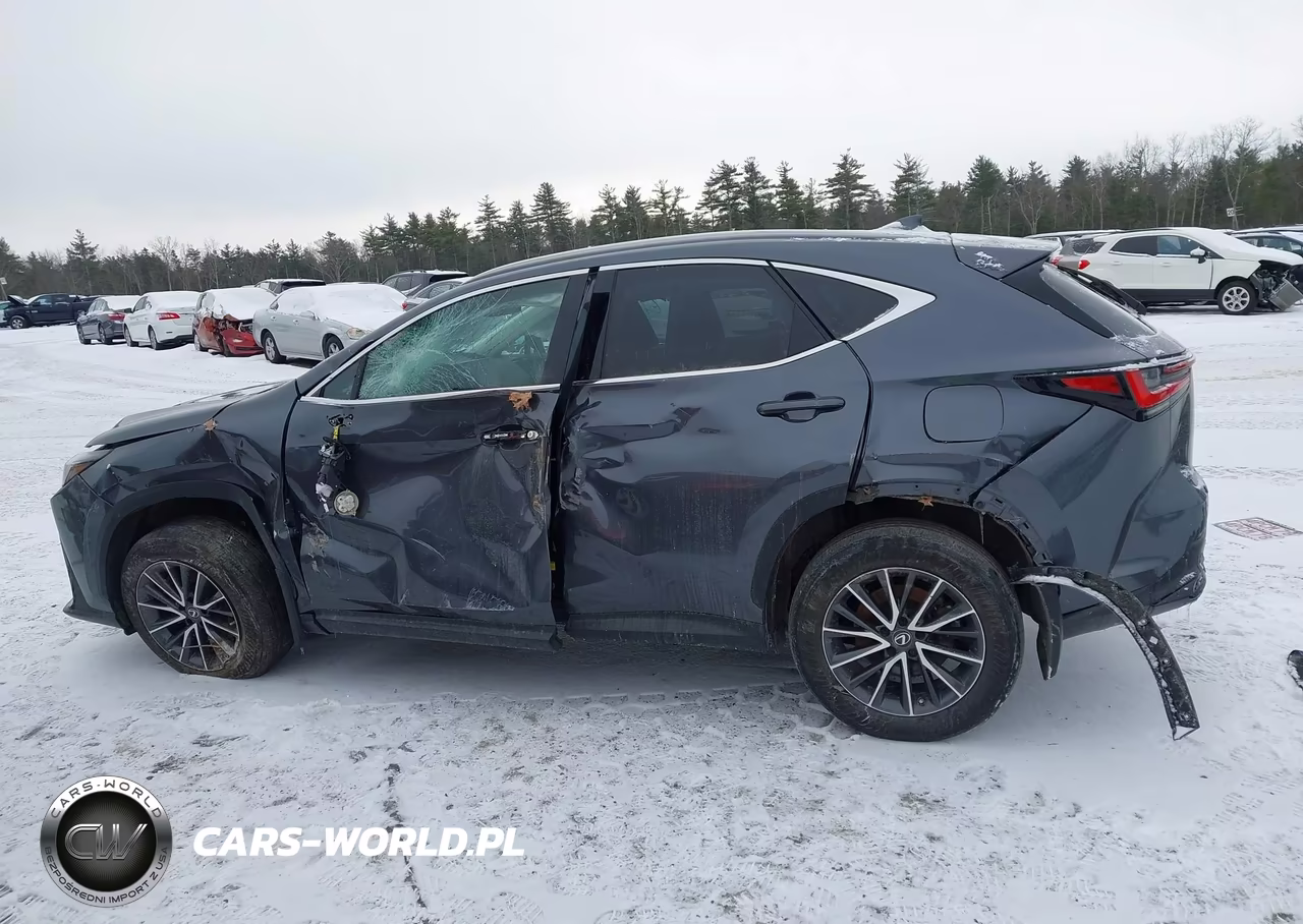 2023 Lexus Nx 350 Premium VIN:2T2GGCEZ3PC028776 - 14