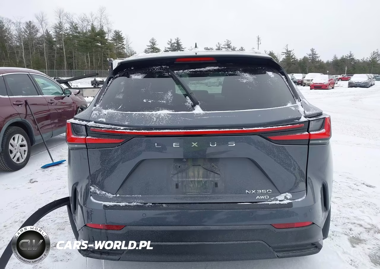 2023 Lexus Nx 350 Premium VIN:2T2GGCEZ3PC028776 - 16
