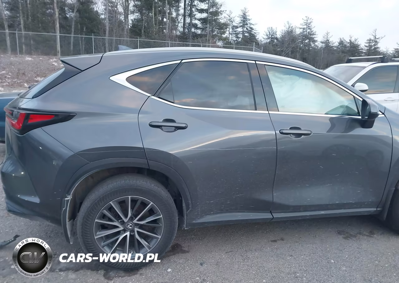 2023 Lexus Nx 350 Premium VIN:2T2GGCEZ3PC028776 - 17