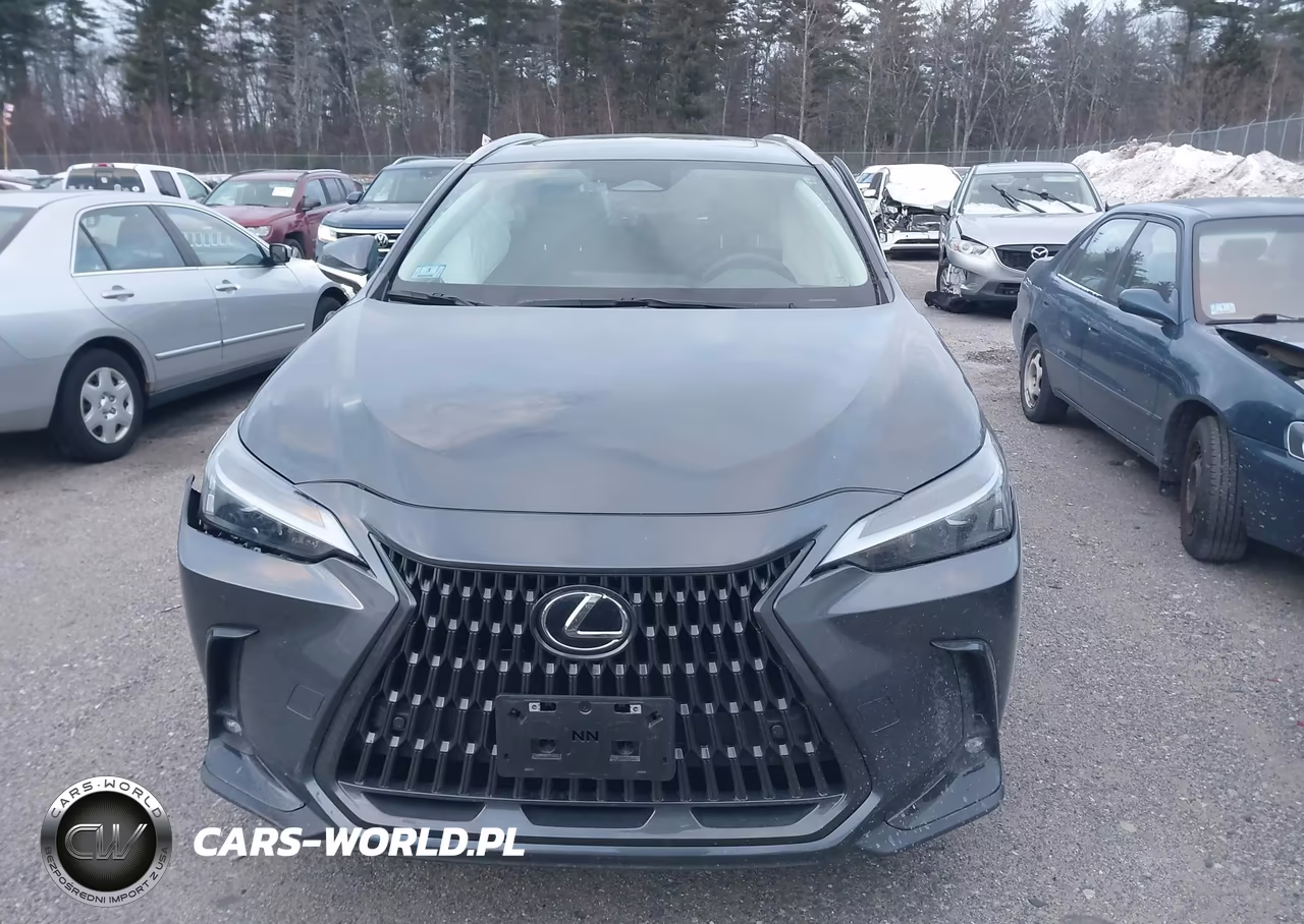 2023 Lexus Nx 350 Premium VIN:2T2GGCEZ3PC028776 - 18