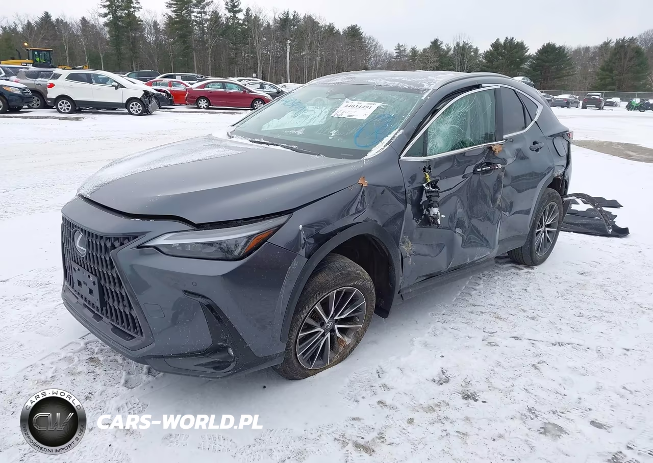 2023 Lexus Nx 350 Premium VIN:2T2GGCEZ3PC028776 - 2