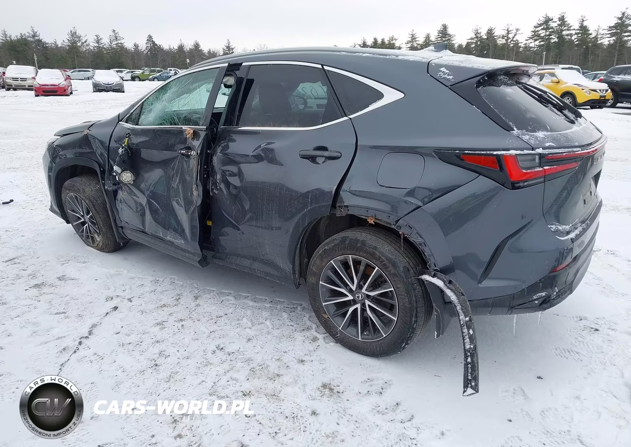 2023 Lexus Nx 350 Premium VIN:2T2GGCEZ3PC028776 - 3