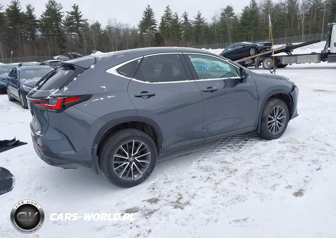 2023 Lexus Nx 350 Premium VIN:2T2GGCEZ3PC028776 - 4