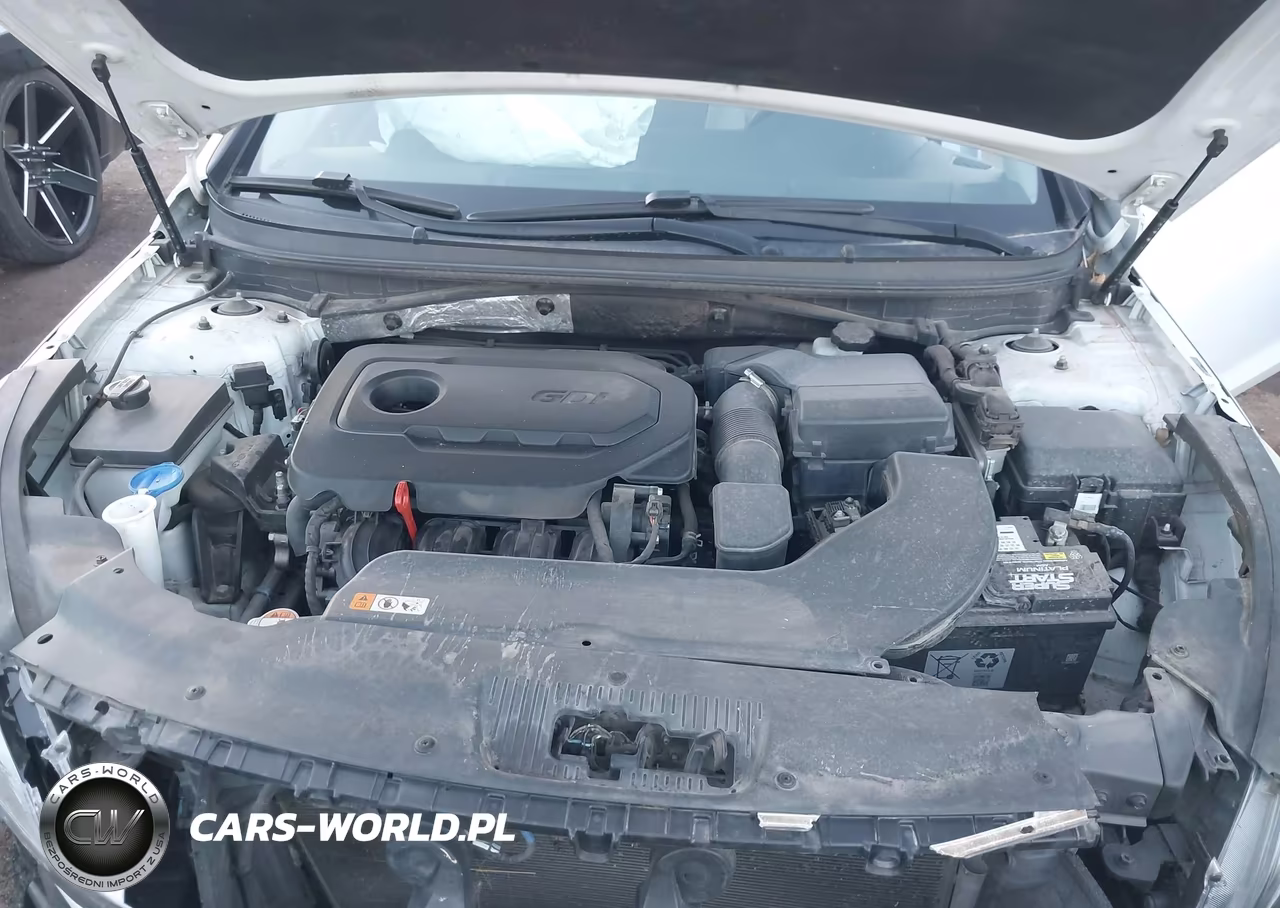 2015 Hyundai Sonata Se VIN:5NPE24AF2FH219192 - 10