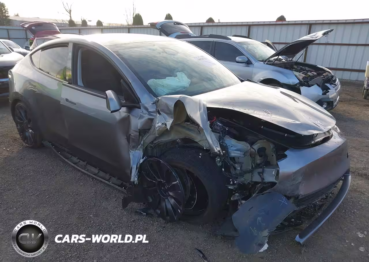 2024 Tesla Model Y Performance Dual Motor All-Wheel Drive