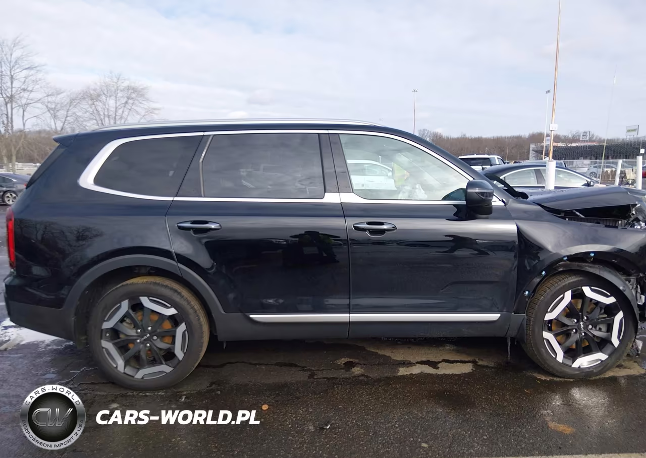 2024 Kia Telluride S VIN:5XYP6DGC1RG488502 - 13