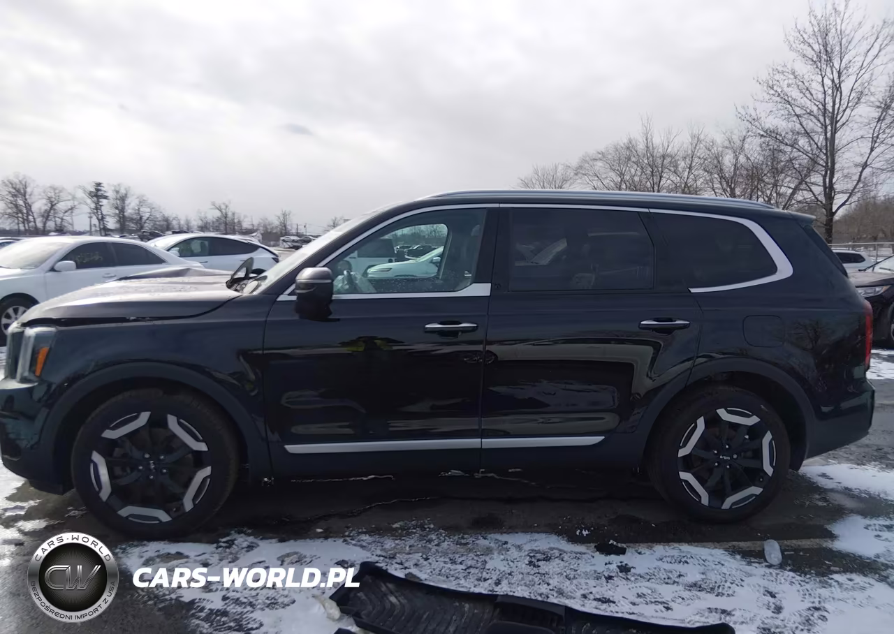 2024 Kia Telluride S VIN:5XYP6DGC1RG488502 - 14