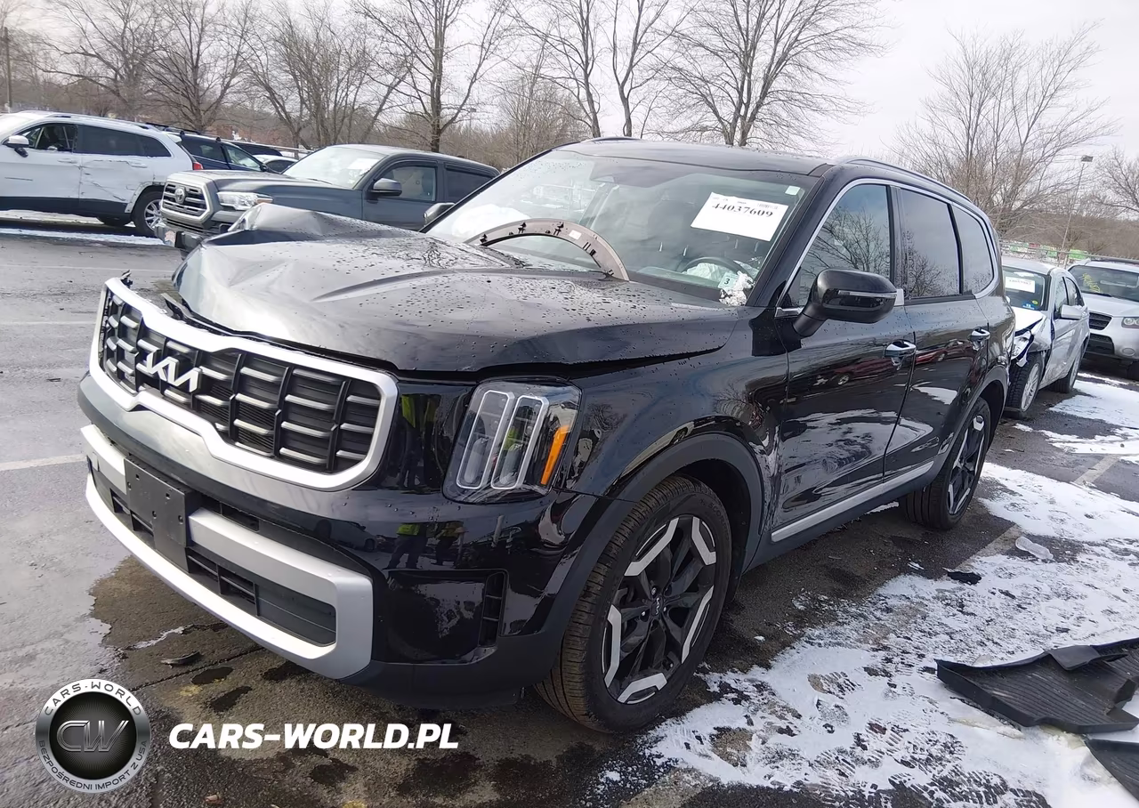2024 Kia Telluride S VIN:5XYP6DGC1RG488502 - 2