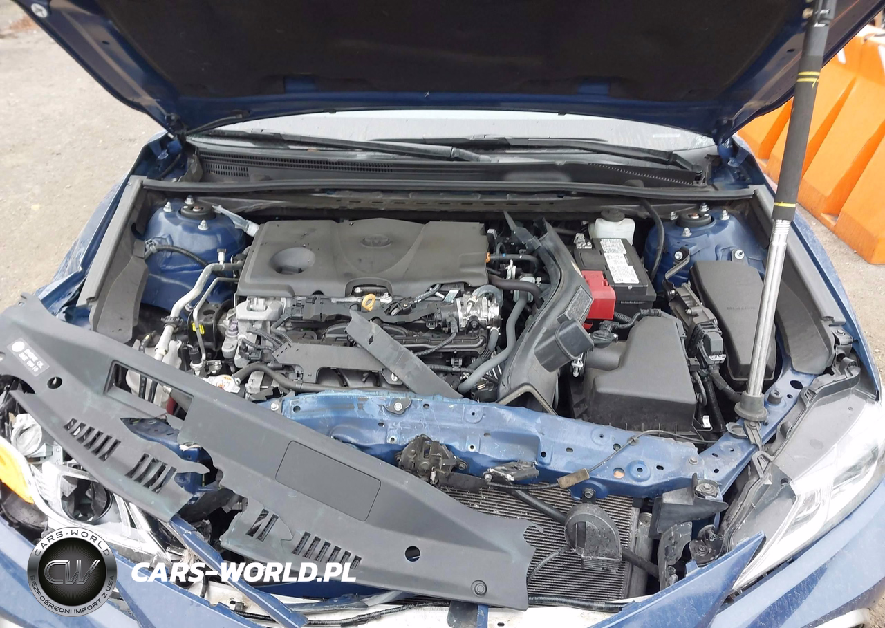 2023 Toyota Camry Le VIN:4T1C11AK0PU139012 - 10