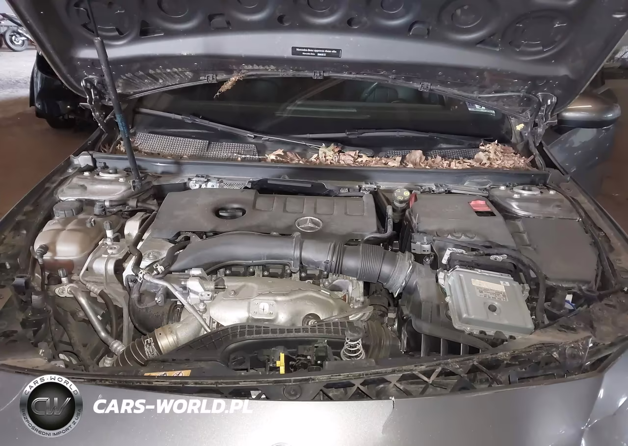2019 Mercedes-Benz A 220 4Matic VIN:WDD3G4FB4KW006625 - 10