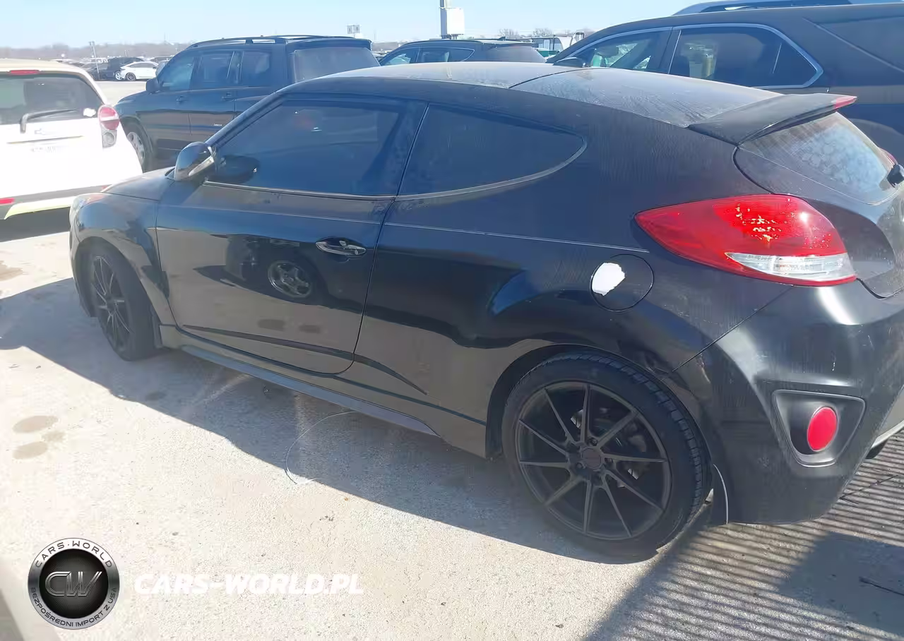 2013 Hyundai Veloster Turbo W-Black