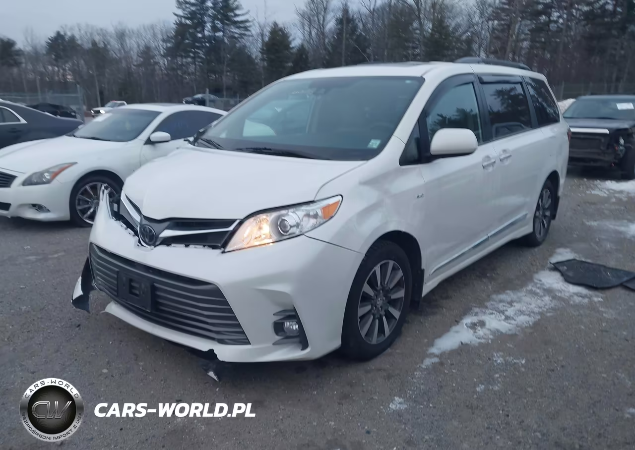 2020 Toyota Sienna Xle VIN:5TDDZ3DC2LS240262 - 2