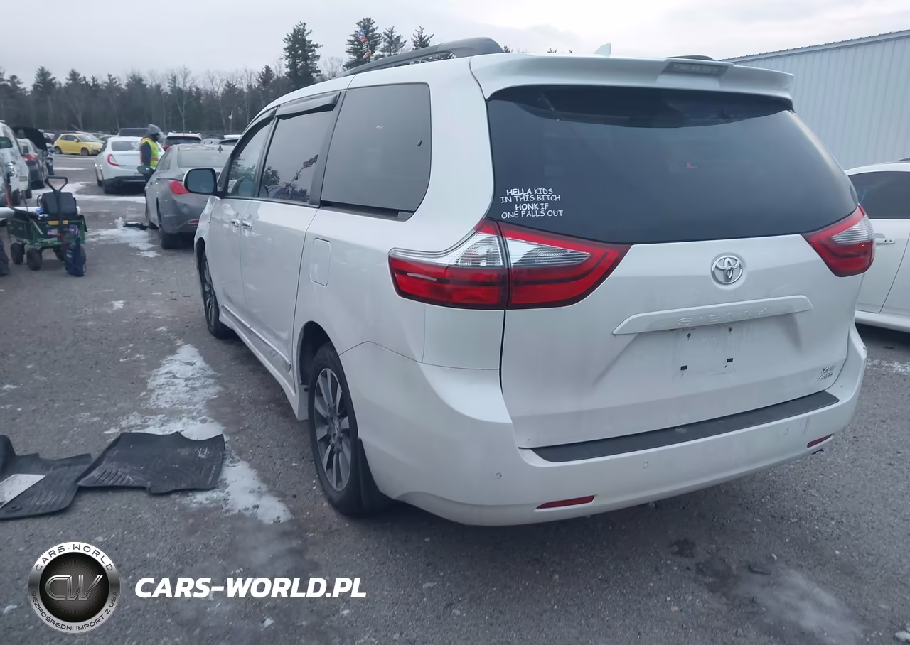 2020 Toyota Sienna Xle VIN:5TDDZ3DC2LS240262 - 3