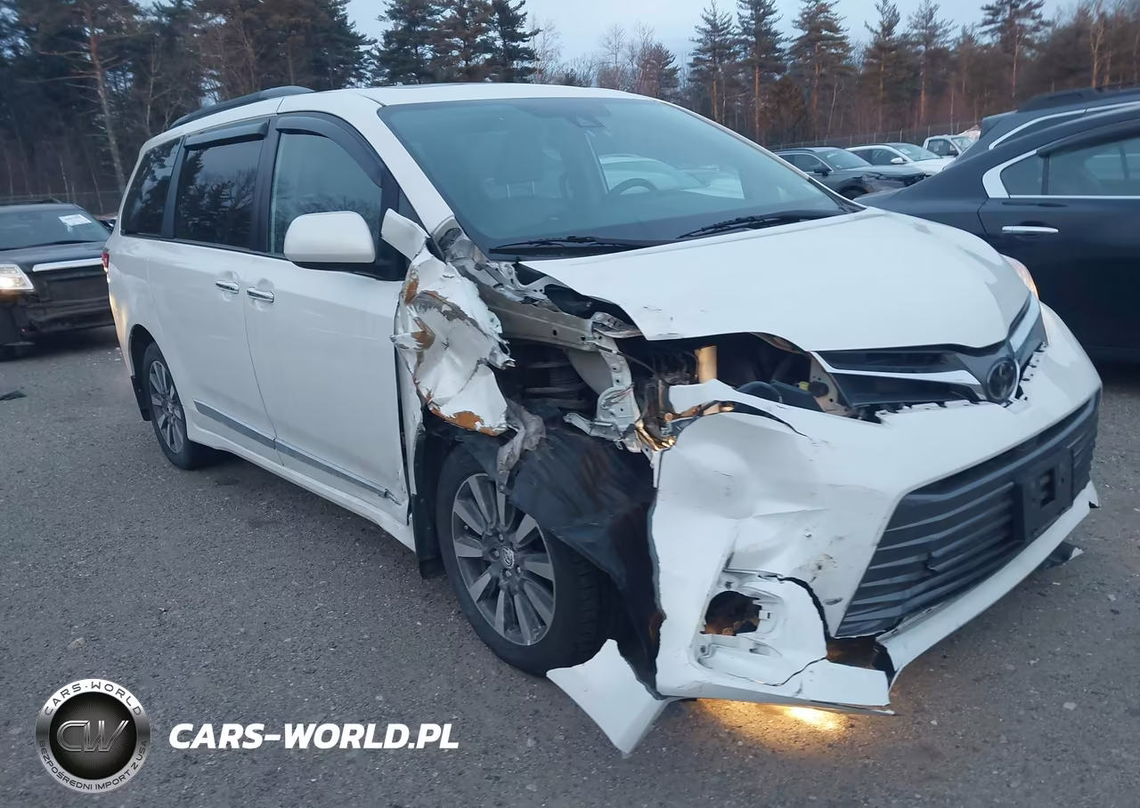 2020 Toyota Sienna Xle VIN:5TDDZ3DC2LS240262 - 6