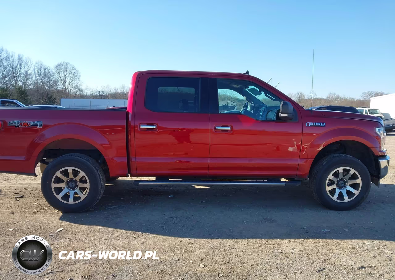 2019 Ford F-150 Xlt VIN:1FTEW1EP3KFC15839 - 13