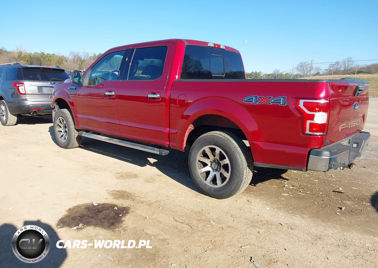 2019 Ford F-150 Xlt VIN:1FTEW1EP3KFC15839 - 3