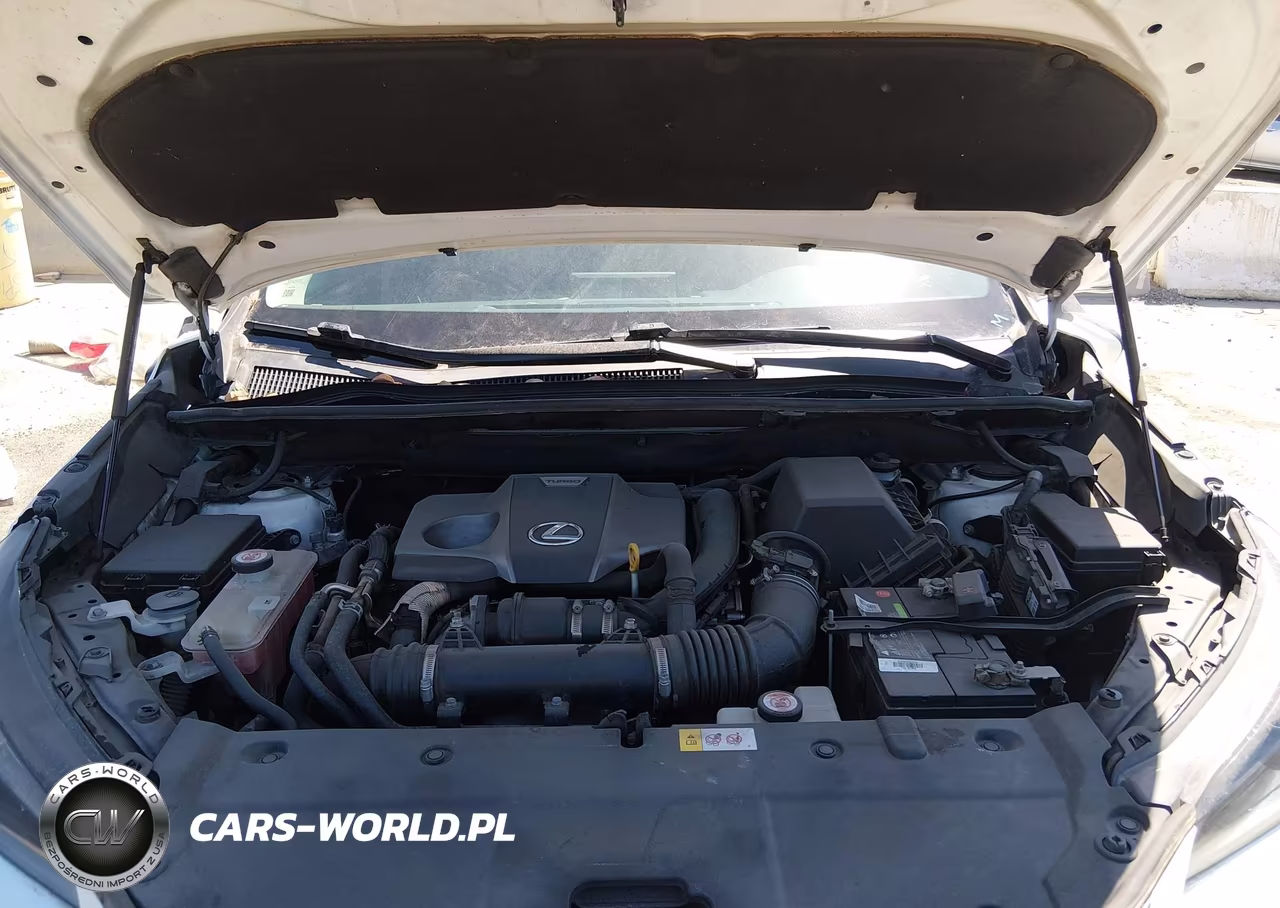 2016 Lexus Nx 200T VIN:JTJYARBZ2G2048692 - 10