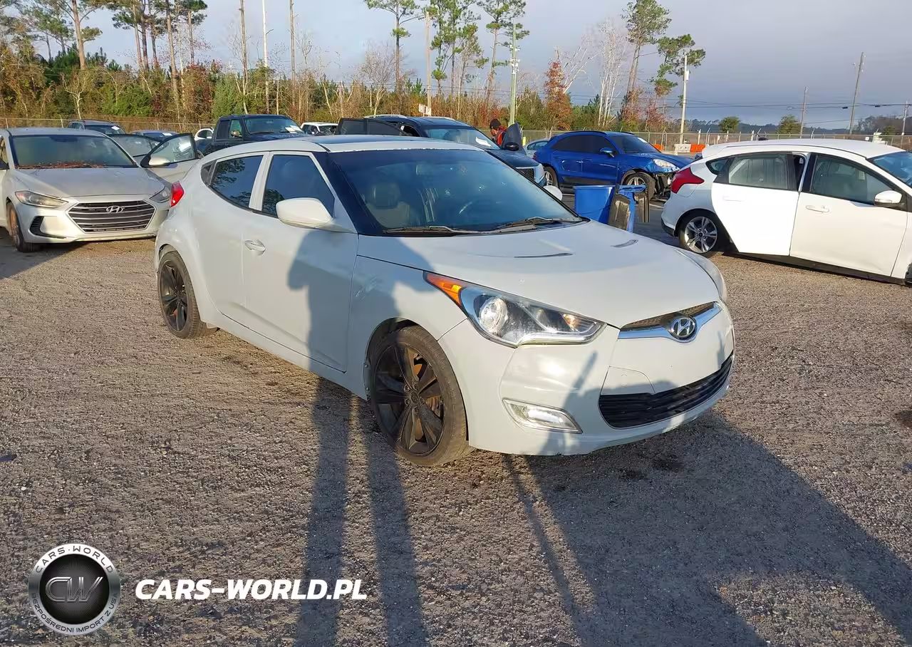 2013 Hyundai Veloster Base W-Black