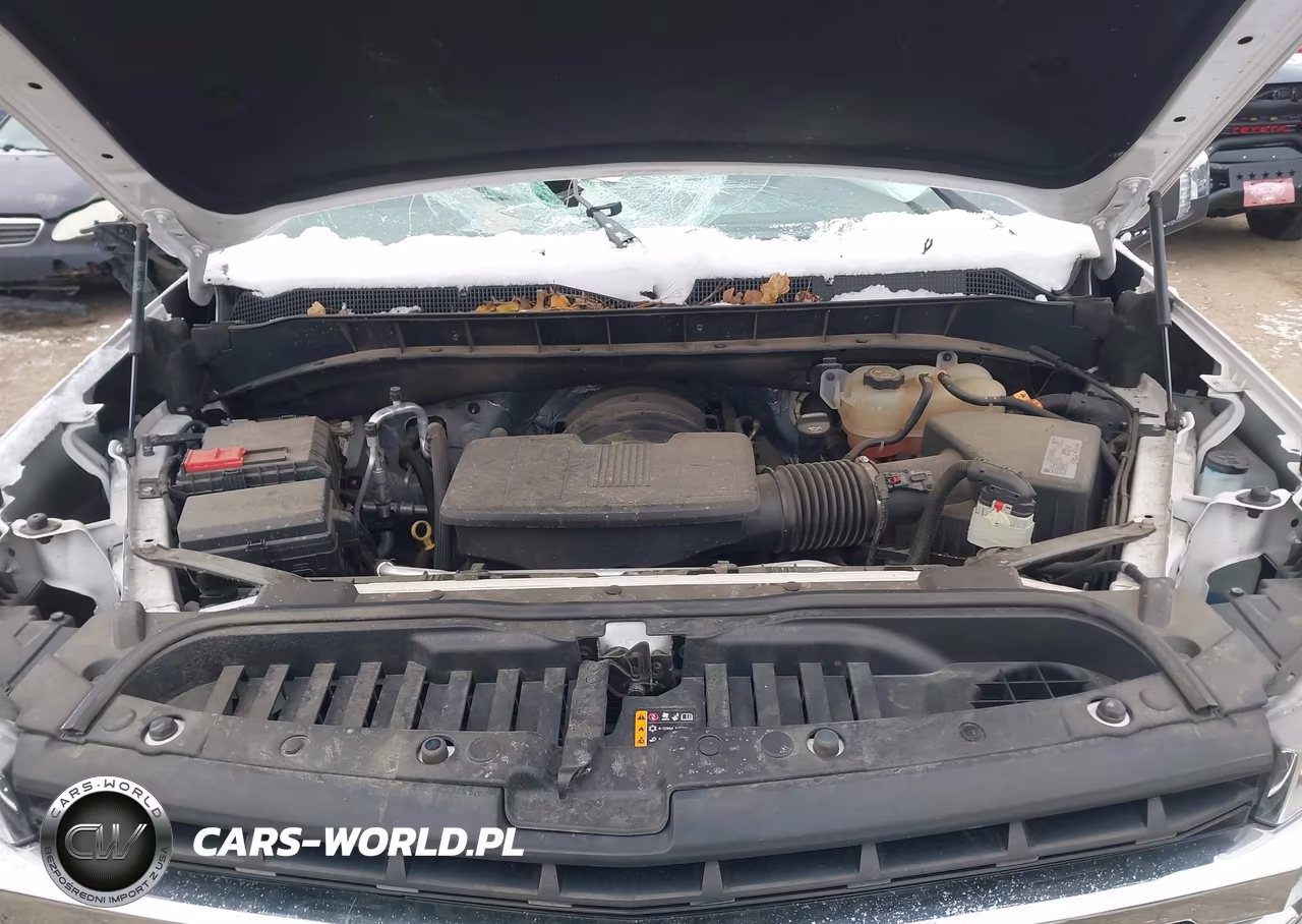 2019 Chevrolet Silverado 1500 Lt VIN:1GCRYDED8KZ310687 - 10