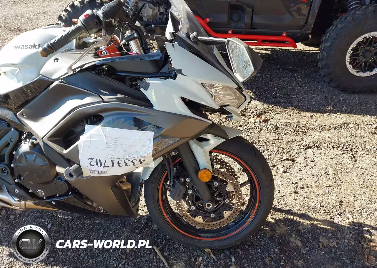 2023 Kawasaki Krf 1000 A