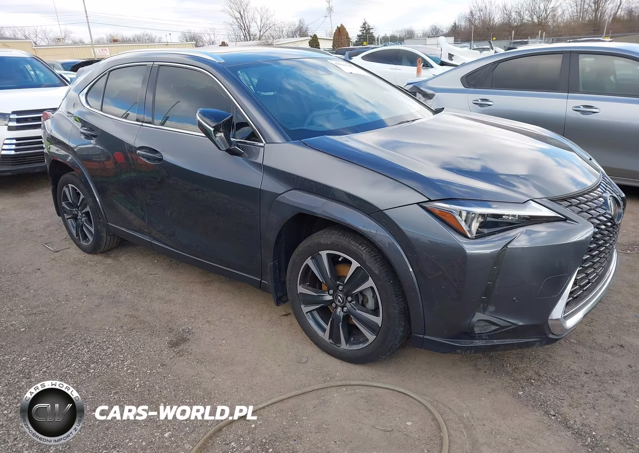 2024 Lexus Ux 250H Premium