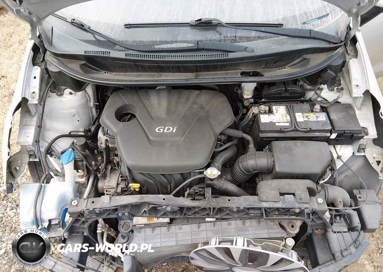 KIA RIO LX VIN:KNADM4A32C6052248 - 10
