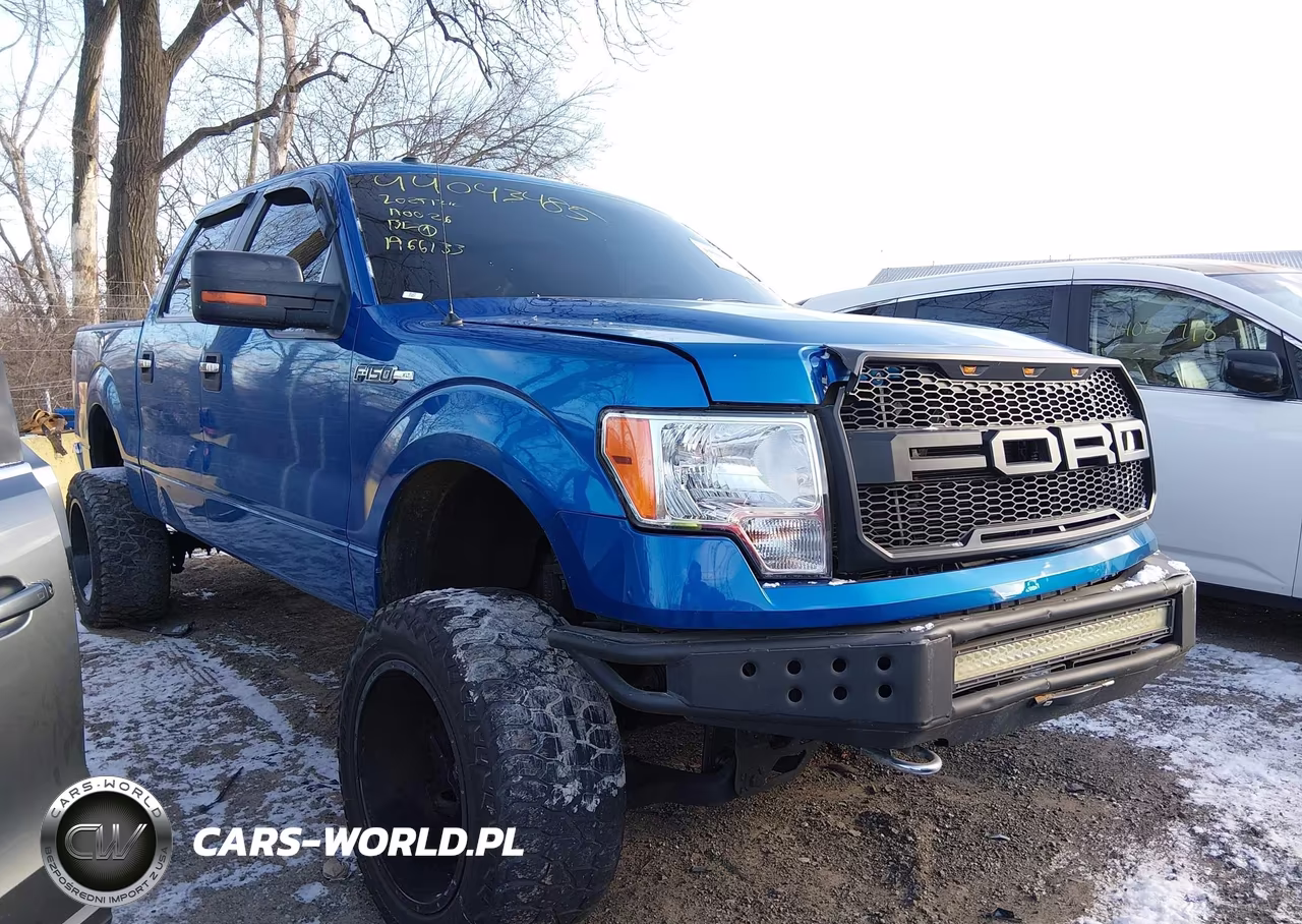 2009 Ford F-150 Xl-Xlt