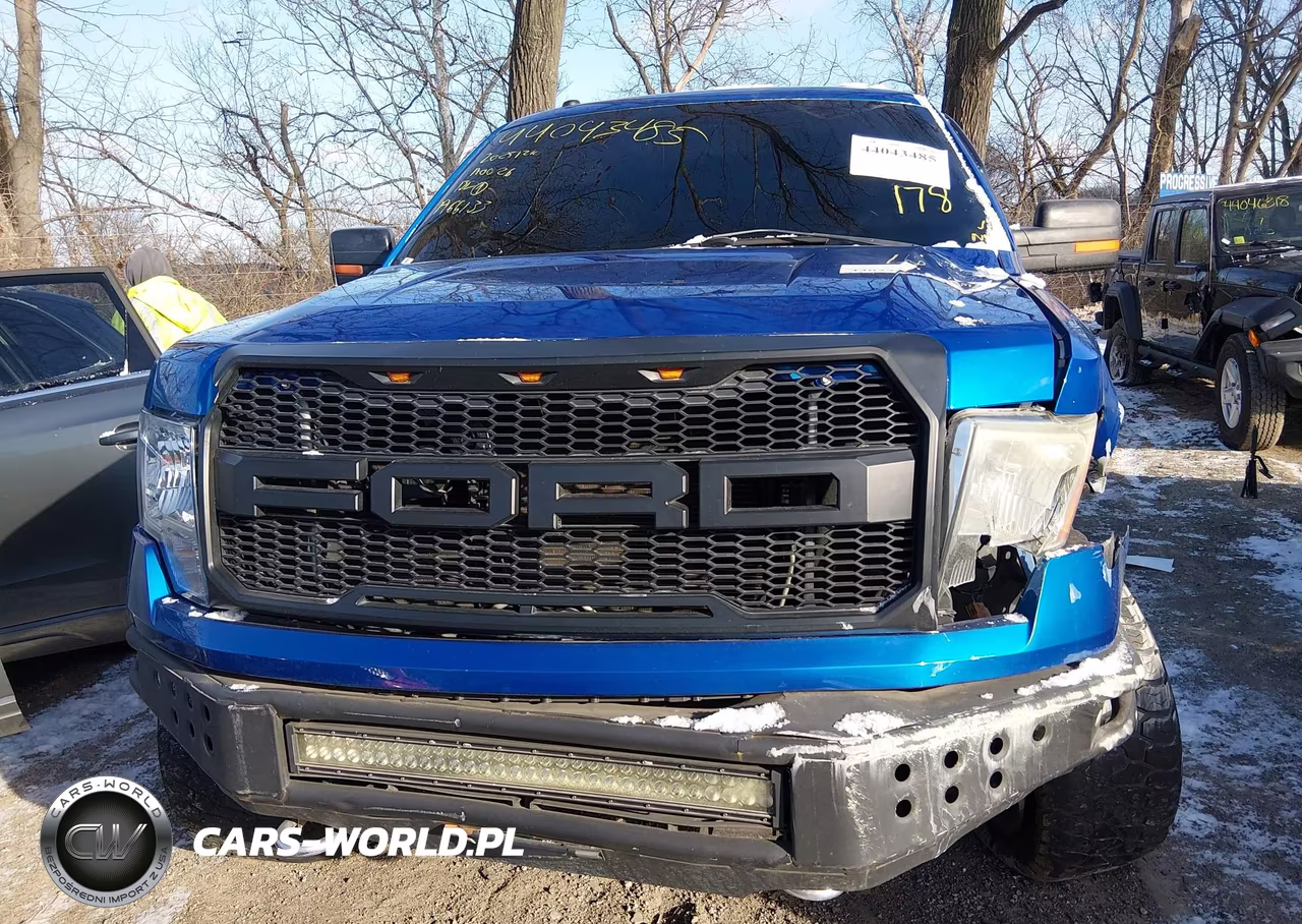 2009 Ford F-150 Xl-Xlt VIN:1FTRW14899FA66133 - 12