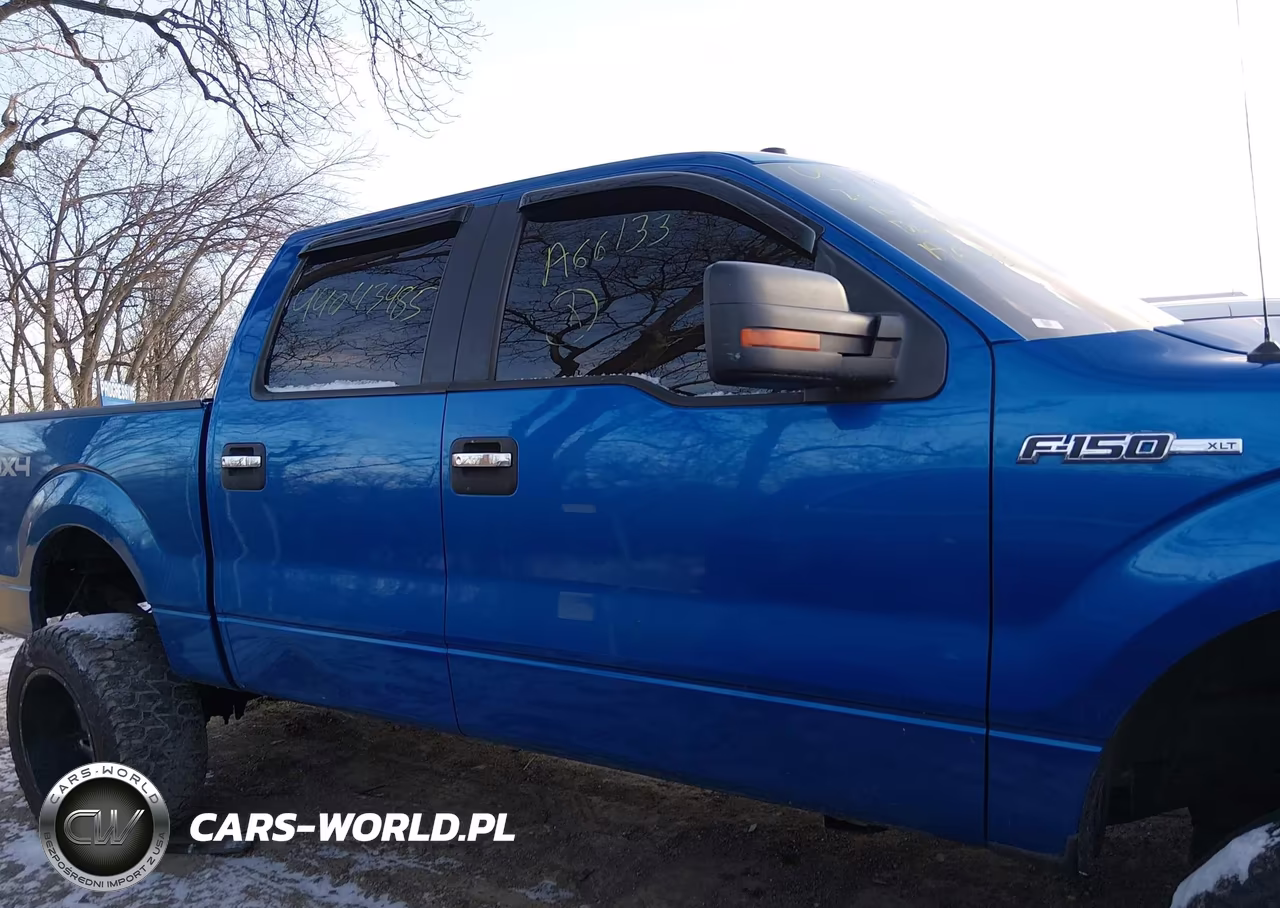 2009 Ford F-150 Xl-Xlt VIN:1FTRW14899FA66133 - 13
