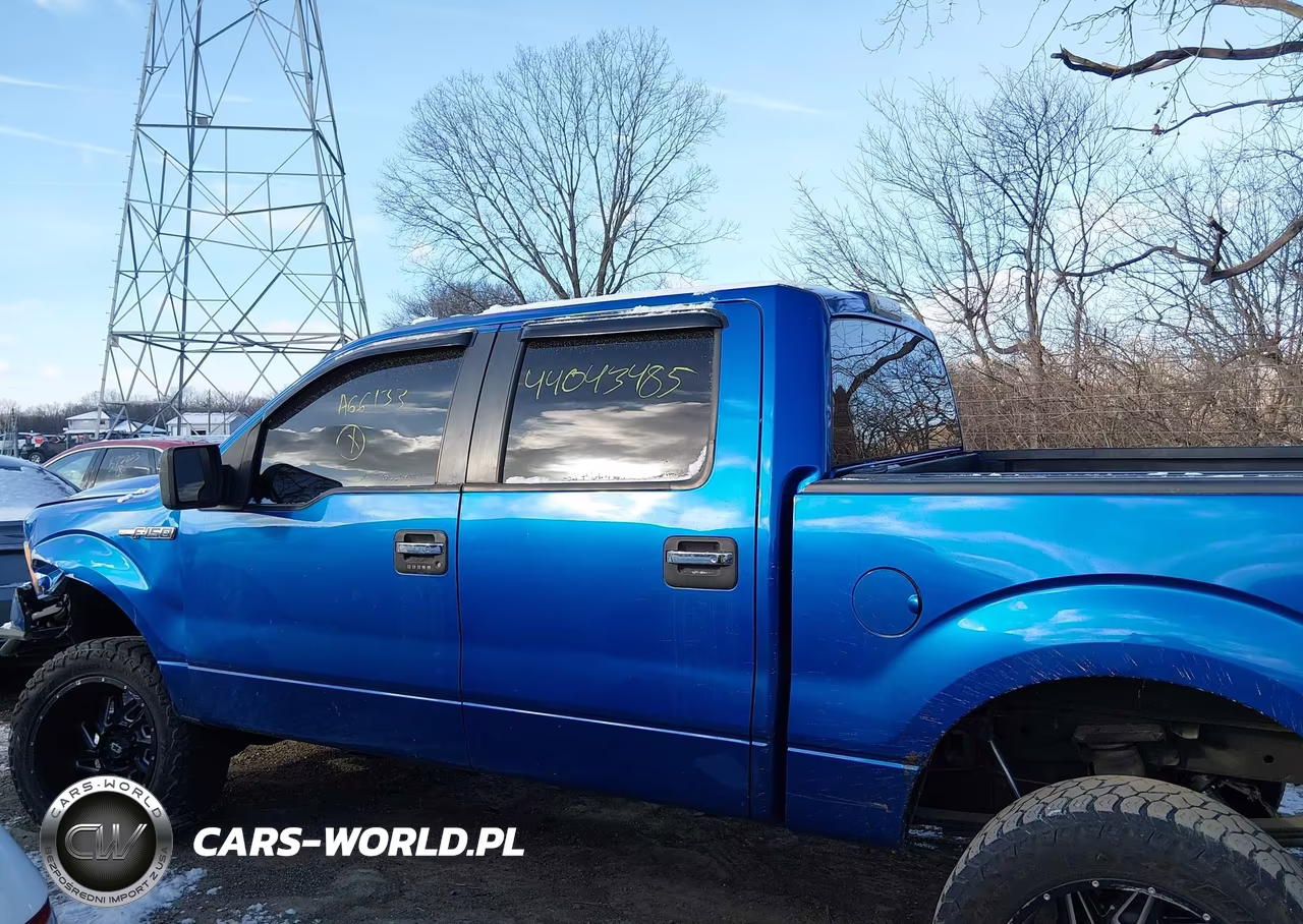 2009 Ford F-150 Xl-Xlt VIN:1FTRW14899FA66133 - 14