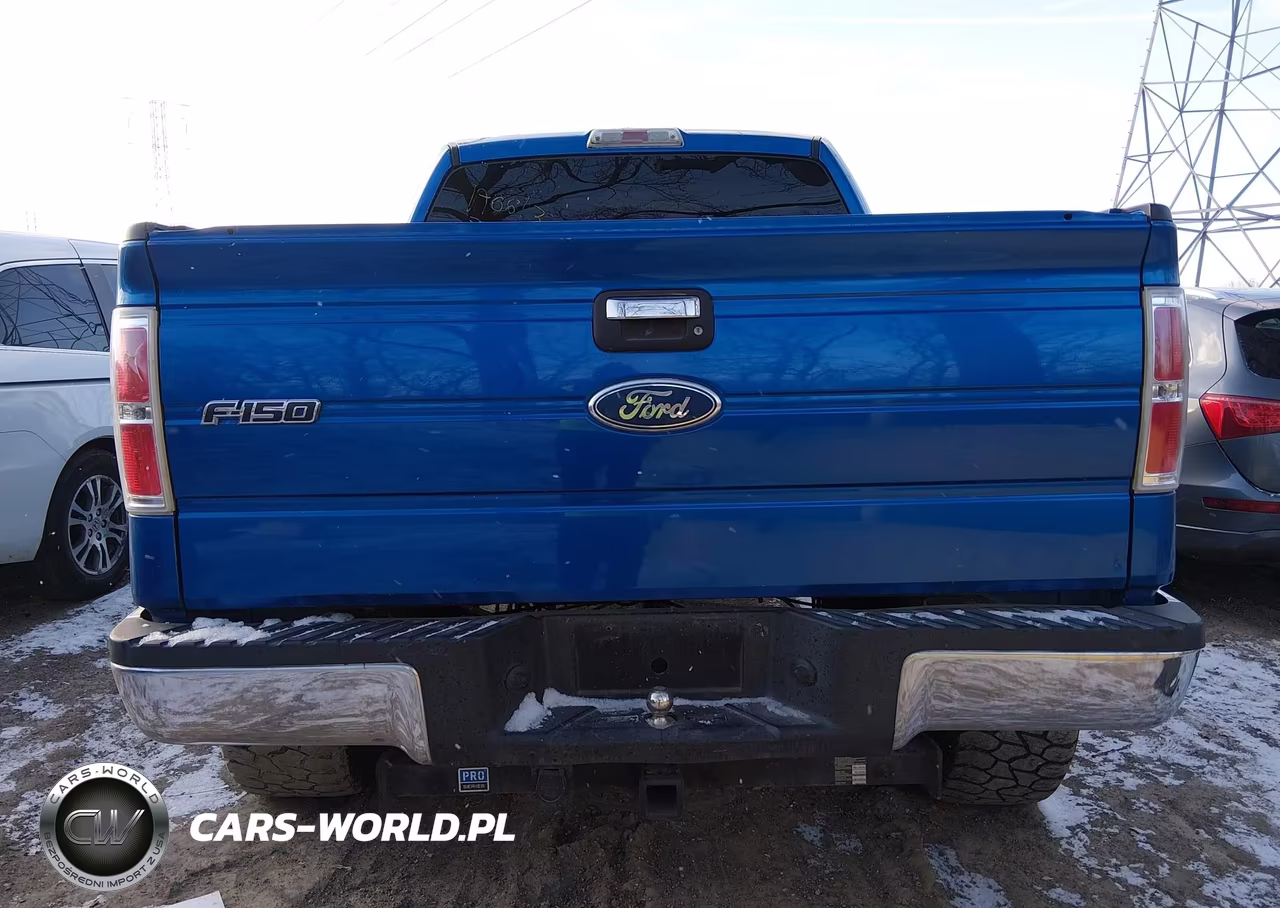 2009 Ford F-150 Xl-Xlt VIN:1FTRW14899FA66133 - 16