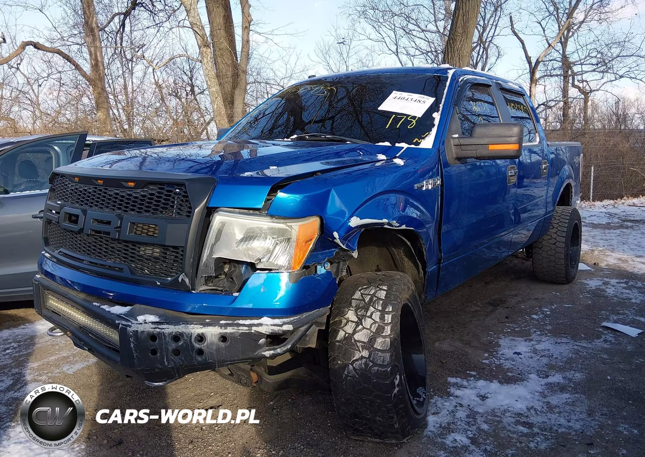 2009 Ford F-150 Xl-Xlt VIN:1FTRW14899FA66133 - 2